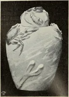 Picture 193 of 240 from Das Porzellan (1902), leaf 149