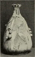 Picture 209 of 240 from Das Porzellan (1902), leaf 161