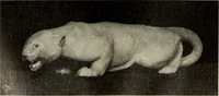 An illustration from Das Porzellan (1902)