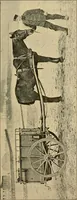 An illustration from Das Röntgen-Verfahren mit besonderer Berücksichtigung der militärischen Verhältnisse (1903)