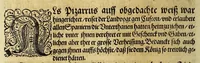 An illustration from Das sechste Theil Americae (1619)