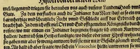 An illustration from Das sechste Theil der Neuwen Welt. (1596)