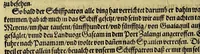 An illustration from Das sechste Theil der Neuwen Welt. (1596)