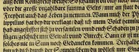 An illustration from Das sechste Theil der Neuwen Welt. (1596)