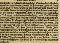 An illustration from Das sechste Theil der Neuwen Welt. (1596)