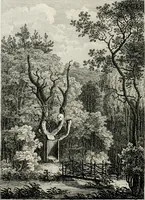 Picture 16 of 41 from Das Seifersdorfer Thal (1792), leaf 115