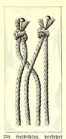 Picture 16 of 17 from Das Spitzenklöppeln (1898), leaf 76