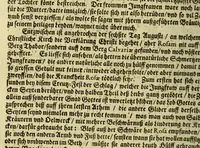 An illustration from Dass wunderbarliche Leben, und vil werther Todt der Ehrwürdigen Schwester Rosa De S. Maria von Lima gebürtig, auss der dritten Regel dess H. Vatters Dominici. : Anfänglich in Lateinischer Sprach Ihro Bäpstliche Heiligkeit Alexandro VII. zugeschriben von Adm. Rdo. & Eximio P. Magistro F. Leonardo Hansen, Ord. Praed. Provinciali Angliae & Socio reverendissimi P. Magistri Generalis: anjetzo aber zu Trost allen frommen Seelen (1667)
