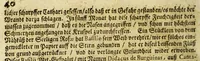Picture 12 of 15 from Dass wunderbarliche Leben, und vil werther Todt der Ehrwürdigen Schwester Rosa De S. Maria von Lima gebürtig, auss der dritten Regel dess H. Vatters Dominici. : Anfänglich in Lateinischer Sprach Ihro Bäpstliche Heiligkeit Alexandro VII. zugeschriben von Adm. Rdo. & Eximio P. Magistro F. Leonardo Hansen, Ord. Praed. Provinciali Angliae & Socio reverendissimi P. Magistri Generalis: anjetzo aber zu Trost allen frommen Seelen (1667), leaf 304