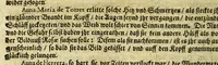 An illustration from Dass wunderbarliche Leben, und vil werther Todt der Ehrwürdigen Schwester Rosa De S. Maria von Lima gebürtig, auss der dritten Regel dess H. Vatters Dominici. : Anfänglich in Lateinischer Sprach Ihro Bäpstliche Heiligkeit Alexandro VII. zugeschriben von Adm. Rdo. & Eximio P. Magistro F. Leonardo Hansen, Ord. Praed. Provinciali Angliae & Socio reverendissimi P. Magistri Generalis: anjetzo aber zu Trost allen frommen Seelen (1667)