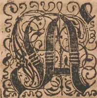 An illustration from Das vierdte Buch von der Neuwen Welt. Oder Neuwe vnd gründtliche Historien, von dem Nidergängischen Indien, so von Christophoro Columbo im Jar 1492 erstlich erfunden (1594)