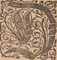 An illustration from Das vierdte Buch von der Neuwen Welt. Oder Neuwe vnd gründtliche Historien, von dem Nidergängischen Indien, so von Christophoro Columbo im Jar 1492 erstlich erfunden (1594)