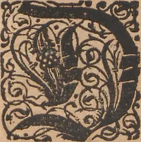 An illustration from Das vierdte Buch von der Neuwen Welt. Oder Neuwe vnd gründtliche Historien, von dem Nidergängischen Indien, so von Christophoro Columbo im Jar 1492 erstlich erfunden (1594)