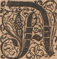 Picture 57 of 68 from Das vierdte Buch von der Neuwen Welt. Oder Neuwe vnd gründtliche Historien, von dem Nidergängischen Indien, so von Christophoro Columbo im Jar 1492 erstlich erfunden (1594), leaf 199