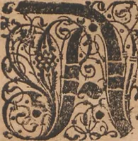 Picture 61 of 68 from Das vierdte Buch von der Neuwen Welt. Oder Neuwe vnd gründtliche Historien, von dem Nidergängischen Indien, so von Christophoro Columbo im Jar 1492 erstlich erfunden (1594), leaf 203