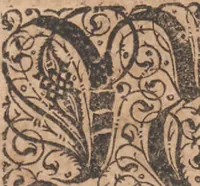 Picture 12 of 68 from Das vierdte Buch von der Neuwen Welt. Oder Neuwe vnd gründtliche Historien, von dem Nidergängischen Indien, so von Christophoro Columbo im Jar 1492 erstlich erfunden (1594), leaf 29