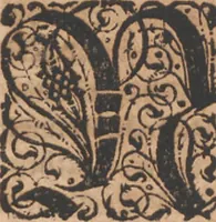 Picture 13 of 68 from Das vierdte Buch von der Neuwen Welt. Oder Neuwe vnd gründtliche Historien, von dem Nidergängischen Indien, so von Christophoro Columbo im Jar 1492 erstlich erfunden (1594), leaf 38