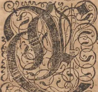 Picture 14 of 68 from Das vierdte Buch von der Neuwen Welt. Oder Neuwe vnd gründtliche Historien, von dem Nidergängischen Indien, so von Christophoro Columbo im Jar 1492 erstlich erfunden (1594), leaf 41