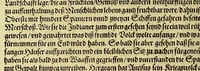 An illustration from Das vierdte Buch von der Neuwen Welt. : Oder neuwe und gründtliche Historien, von dem Nidergängischen Indien, so von Christophoro Columbo im Jar 1492. erstlich erfunden. (1594)