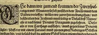 An illustration from Das vierdte Buch von der Neuwen Welt. : Oder neuwe und gründtliche Historien, von dem Nidergängischen Indien, so von Christophoro Columbo im Jar 1492. erstlich erfunden. (1594)