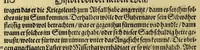 An illustration from Das vierdte Buch von der Neuwen Welt. : Oder neuwe und gründtliche Historien, von dem Nidergängischen Indien, so von Christophoro Columbo im Jar 1492. erstlich erfunden. (1594)