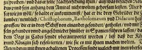 An illustration from Das vierdte Buch von der Neuwen Welt. : Oder neuwe und gründtliche Historien, von dem Nidergängischen Indien, so von Christophoro Columbo im Jar 1492. erstlich erfunden. (1594)