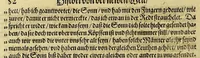 An illustration from Das vierdte Buch von der Neuwen Welt. : Oder neuwe und gründtliche Historien, von dem Nidergängischen Indien, so von Christophoro Columbo im Jar 1492. erstlich erfunden. (1594)