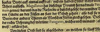 An illustration from Das vierdte Buch von der Neuwen Welt. : Oder neuwe und gründtliche Historien, von dem Nidergängischen Indien, so von Christophoro Columbo im Jar 1492. erstlich erfunden. (1594)