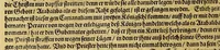 An illustration from Das vierdte Buch von der Neuwen Welt. : Oder neuwe und gründtliche Historien, von dem Nidergängischen Indien, so von Christophoro Columbo im Jar 1492. erstlich erfunden. (1594)