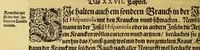 An illustration from Das vierdte Buch von der Neuwen Welt. : Oder neuwe und gründtliche Historien, von dem Nidergängischen Indien, so von Christophoro Columbo im Jar 1492. erstlich erfunden. (1594)
