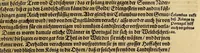 An illustration from Das vierdte Buch von der Neuwen Welt. : Oder neuwe und gründtliche Historien, von dem Nidergängischen Indien, so von Christophoro Columbo im Jar 1492. erstlich erfunden. (1594)