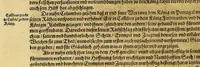 An illustration from Das vierdte Buch von der Neuwen Welt. : Oder neuwe und gründtliche Historien, von dem Nidergängischen Indien, so von Christophoro Columbo im Jar 1492. erstlich erfunden. (1594)