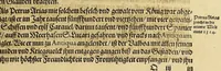An illustration from Das vierdte Buch von der Neuwen Welt. : Oder neuwe und gründtliche Historien, von dem Nidergängischen Indien, so von Christophoro Columbo im Jar 1492. erstlich erfunden. (1613)