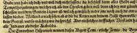An illustration from Das vierdte Buch von der Neuwen Welt. : Oder neuwe und gründtliche Historien, von dem Nidergängischen Indien, so von Christophoro Columbo im Jar 1492. erstlich erfunden. (1613)