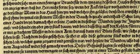 An illustration from Das vierdte Buch von der Neuwen Welt. : Oder neuwe und gründtliche Historien, von dem Nidergängischen Indien, so von Christophoro Columbo im Jar 1492. erstlich erfunden. (1613)
