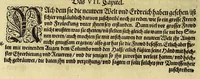An illustration from Das vierdte Buch von der Neuwen Welt. : Oder neuwe und gründtliche Historien, von dem Nidergängischen Indien, so von Christophoro Columbo im Jar 1492. erstlich erfunden. (1613)