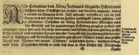An illustration from Das vierdte Buch von der Neuwen Welt. : Oder neuwe und gründtliche Historien, von dem Nidergängischen Indien, so von Christophoro Columbo im Jar 1492. erstlich erfunden. (1613)
