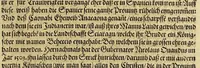 An illustration from Das vierdte Buch von der Neuwen Welt. : Oder neuwe und gründtliche Historien, von dem Nidergängischen Indien, so von Christophoro Columbo im Jar 1492. erstlich erfunden. (1613)