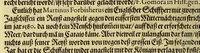 An illustration from Das vierdte Buch von der Neuwen Welt. : Oder neuwe und gründtliche Historien, von dem Nidergängischen Indien, so von Christophoro Columbo im Jar 1492. erstlich erfunden. (1613)