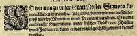 An illustration from Das VII. Theil Americae. : Warhafftige vnnd liebliche Beschreibung etlicher fürnemmen Indianischen Landschafften vnd Insulen, die vormals in keiner Chronicken gedacht vnd erstlich in der Schiffart (1599)