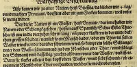 An illustration from Das VII. Theil Americae. : Warhafftige vnnd liebliche Beschreibung etlicher fürnemmen Indianischen Landschafften vnd Insulen, die vormals in keiner Chronicken gedacht vnd erstlich in der Schiffart (1599)