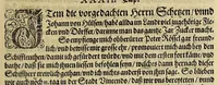 An illustration from Das VII. Theil Americae. : Warhafftige vnnd liebliche Beschreibung etlicher fürnemmen Indianischen Landschafften vnd Insulen, die vormals in keiner Chronicken gedacht vnd erstlich in der Schiffart (1599)