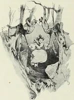 Picture 42 of 473 from Das Weib in der Karikatur Frankreichs : mit 448 Textillustrationen und 72 farbigen Kunstblättern nach seltenen und amüsanten französischen Karikaturen aus allen Zeitepochen (1907), leaf 78