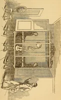 An illustration from The Davenport brothers (1869)
