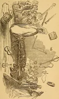 Picture 4 of 11 from The Davenport brothers (1869), leaf 98