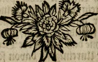 An illustration from David Beuthers Universal und Particularia : worin die Verwandelung geringer Metalle in Gold und Silber klahr und deutlich gelehret wird : nebst einem Anhange von unvergleichlich curieusen Alchymischen Kupffern, darin die Kunst von Anfang bis zum Ende vorgemahlet ist : und einer Vorrede von Beuthers Person und Schrifften Dr. Joh. Christoph Sprögels .. (1718)