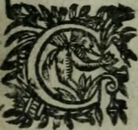 Picture 22 of 30 from David, poème héroïque (1660), leaf 232