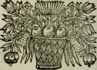 Picture 23 of 30 from David, poème héroïque (1660), leaf 269