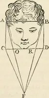 Picture 23 of 49 from A treatise on painting (1835), leaf 321
