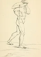 Picture 34 of 49 from A treatise on painting (1835), leaf 365